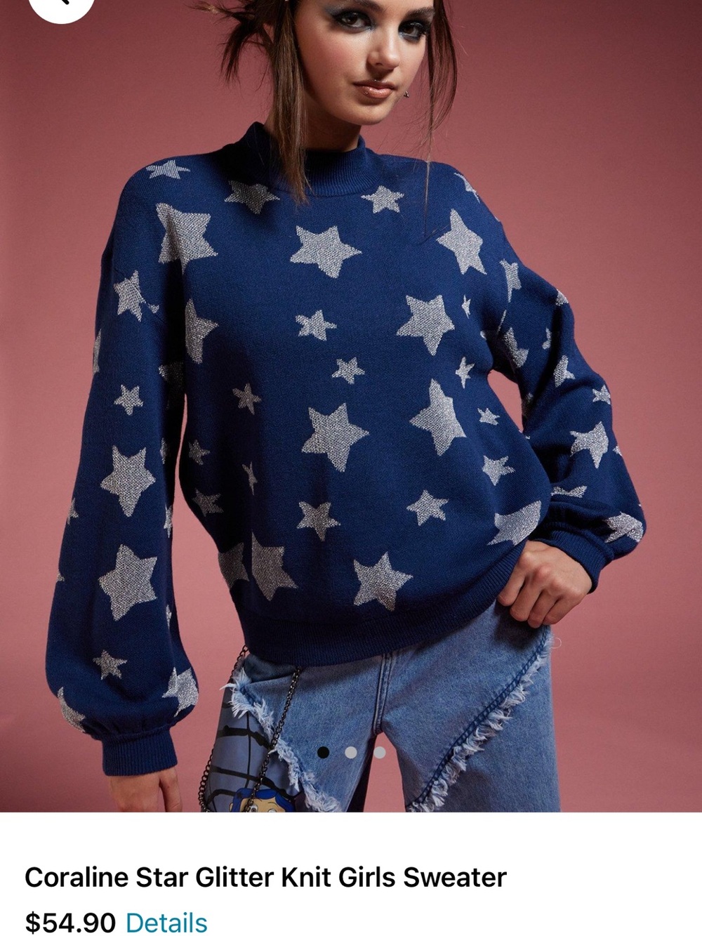 Coraline Sweater NWT